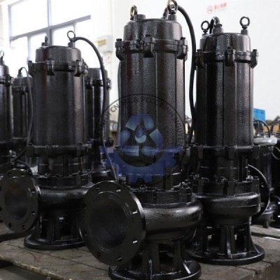 Máy Bơm Chìm Nước Thải CNP 65WQ40-50-11(I)