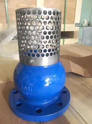 Rọ Van AUT DN65