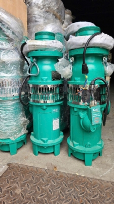 Bơm thả chìm trục đứng 50QY10-51/3-3/380V