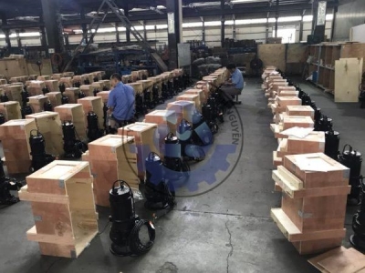 Máy Bơm Chìm Nước Thải CNP 80WQ40-15-4(I)