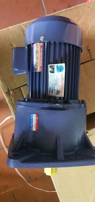 ĐỘNG CƠ GIẢM TỐC TUNGLEE PF22-0200-90S3