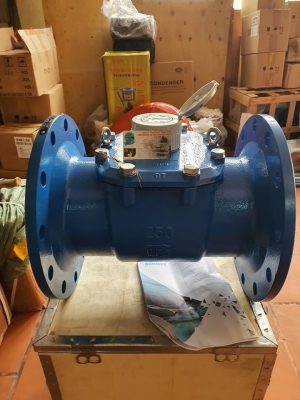 Đồng Hồ Đo Nước Sạch DN600 T-FLOW