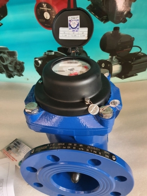 Đồng Hồ Đo Nước Sạch DN300 T-FLOW