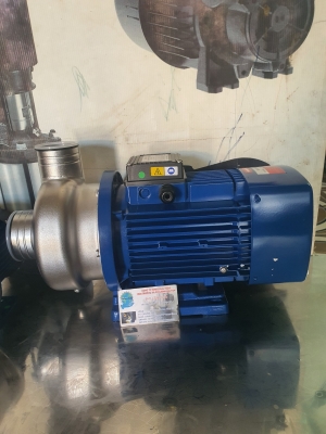 Máy bơm cánh hở EWARA DWO 300