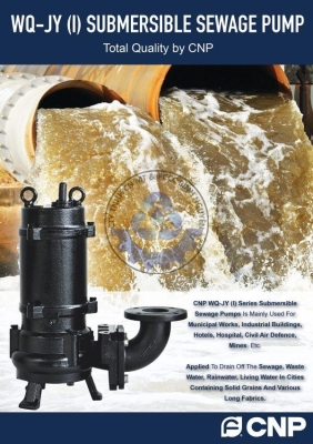 Máy Bơm Nước Thải CNP 65WQ25-14-2.2(I)