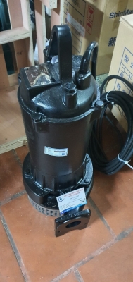 Máy Bơm Chìm Nước Thải EBARA 50DS 55.5