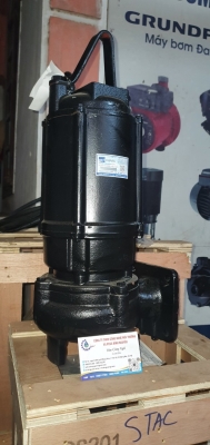 Máy Bơm Chìm Nước Thải EBARA 100 DS 55.5