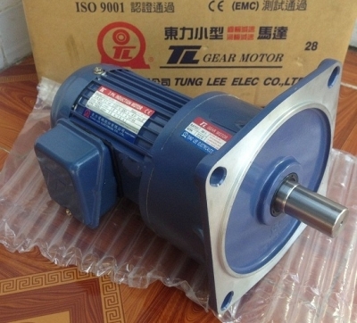 ĐỘNG CƠ GIẢM TỐC TUNGLEE PF22-0100-60S3