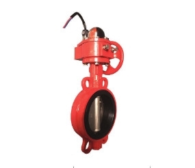 Van Bướm Tín Hiệu Điện AUT DN65