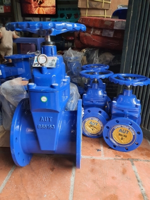 Van Cổng Ty Chìm AUT DN150