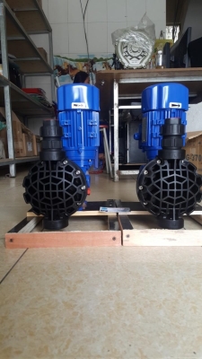 Bơm định lượng SEKO MS1C138B51