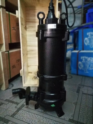 Máy Bơm Nước Thải CNP 65WQ15-10-1.1(I)