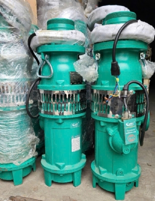 Bơm thả chìm trục đứng 65QY25-36-3/380V